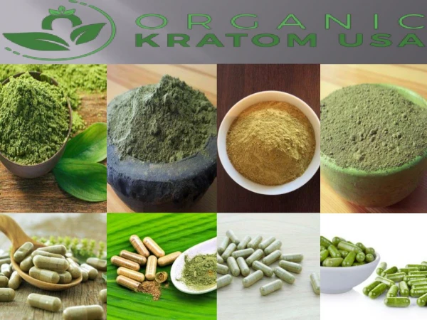 Top Kratom Wholesaler