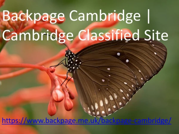 Backpage Cambridge | Cambridge Classified Site