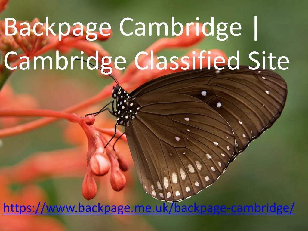 backpage cambridge cambridge classified site