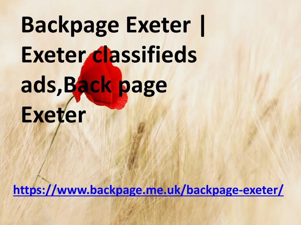 backpage exeter exeter classifieds ads back page