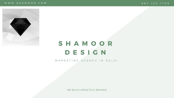Social Media Marketing Agency In Delhi - Shamoor