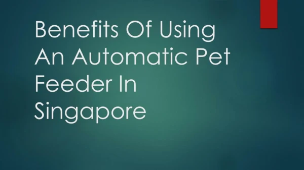 Benefits Of Using An Automatic Pet Feeder In Singapore