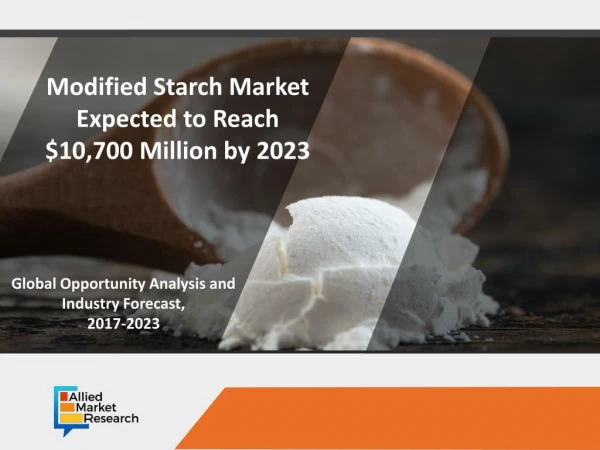 Modified Starch Market : Boosting Revenue Size in Near Future