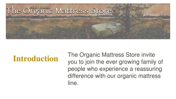 Few Good Reasons to Buy Organic Cotton Blankets