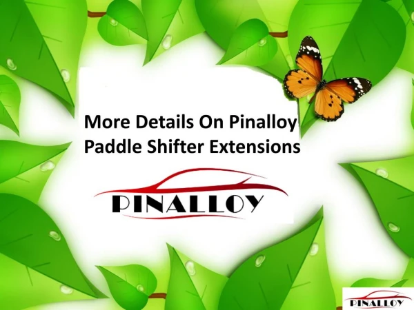 More Details On Pinalloy Paddle Shifter Extensions