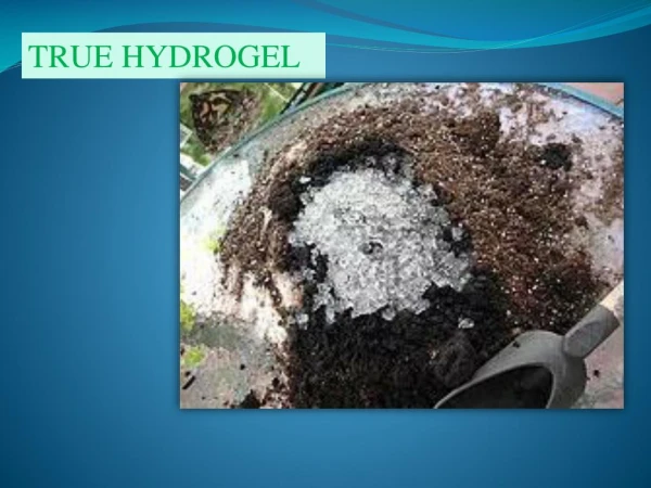 True Hydrogel