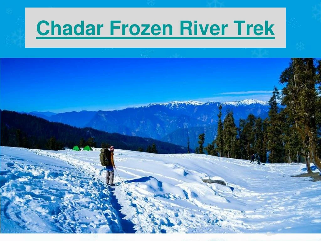 chadar frozen river trek