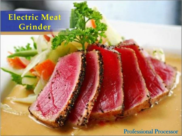 Latest Electric Meat Grinder Available Online
