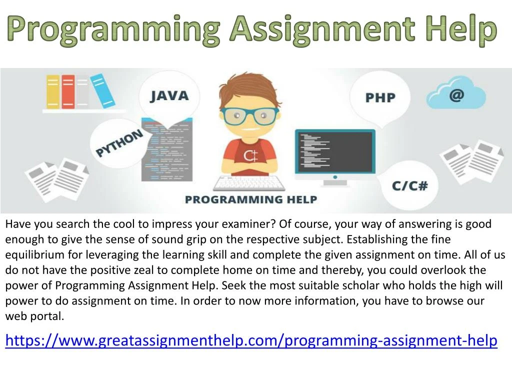 programming assignment help