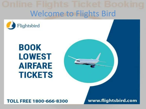 Book Direct Flights from New York (JFK) to Miami (MIA)