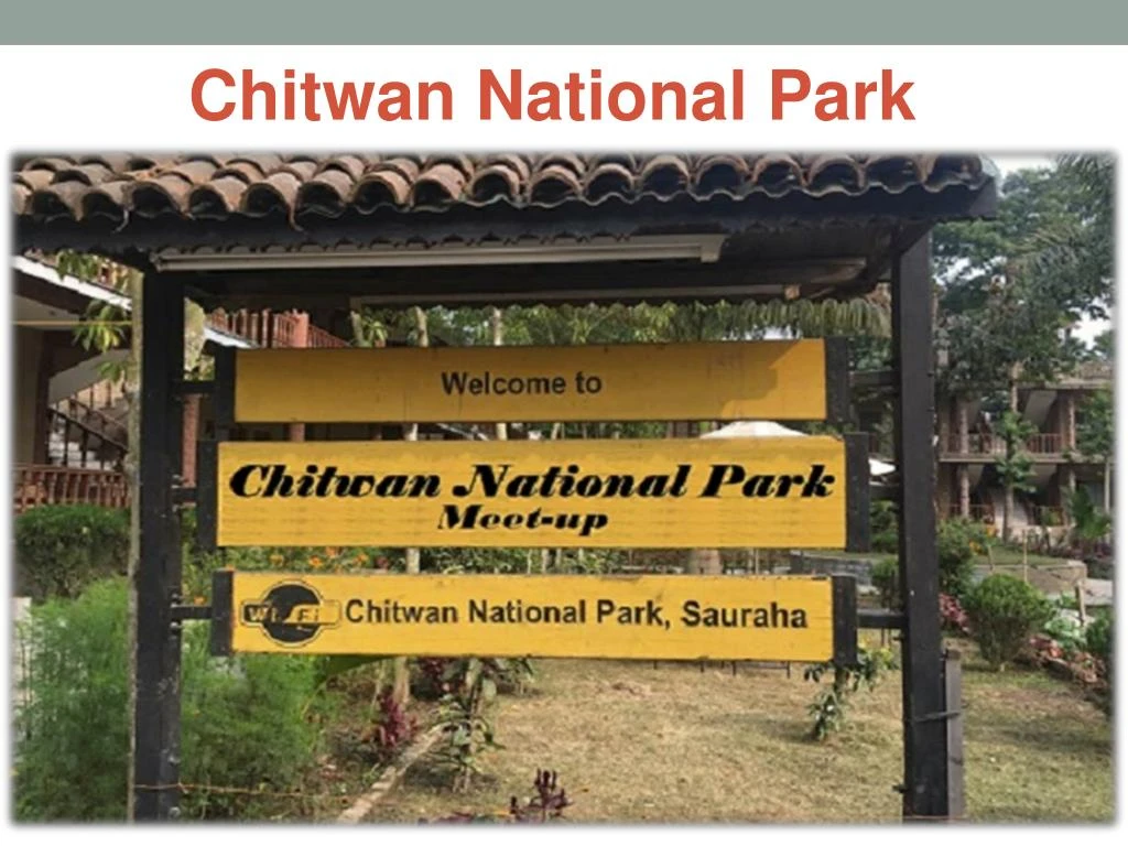 chitwan national park