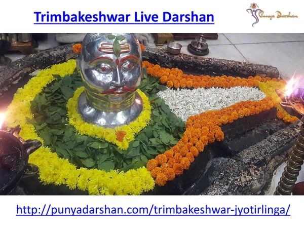 Visit here the live darshan of trimbakeshwar