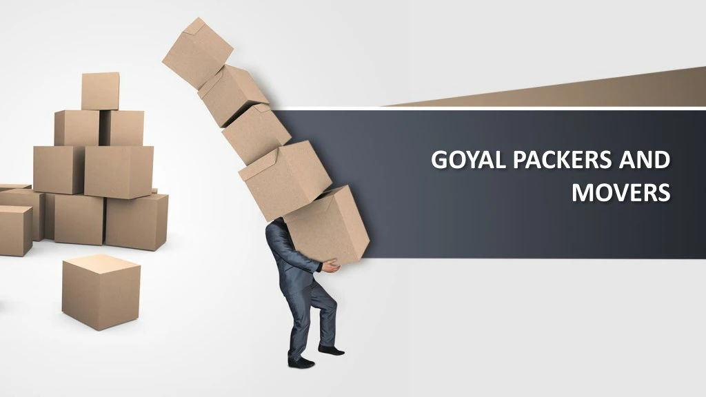 goyal packers and
