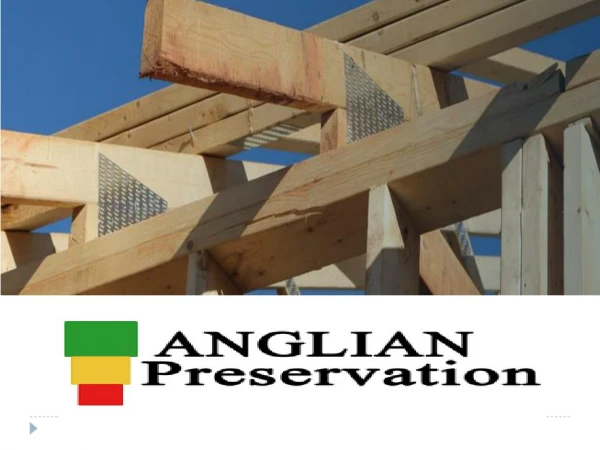 Finest Woodworm Treatment in Uk -Anglian Preservation