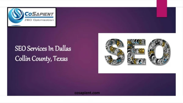 SEO Services In Dallas Texas