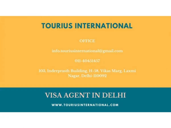 VISA AGENT IN DELHI