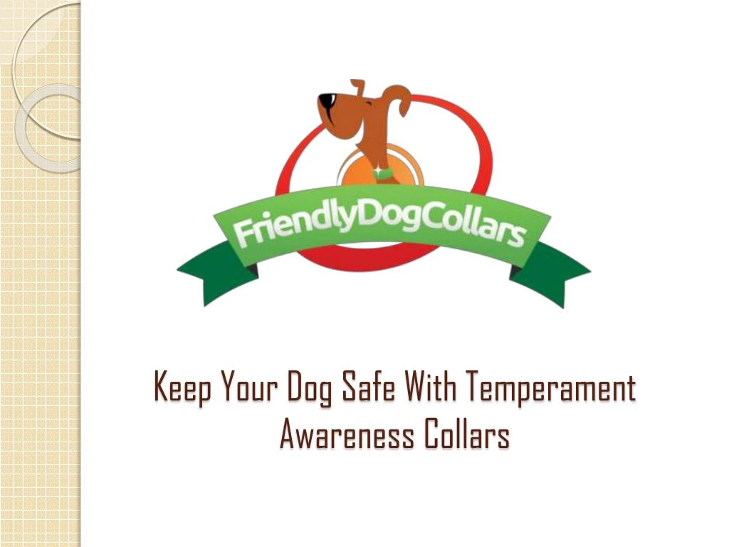 keep your dog safe with temperament awareness collars