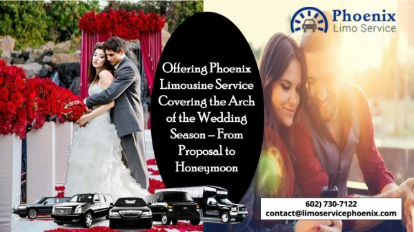 Offering Phoenix Airport Limo Service Covering the Arch of the Wedding Season – From Proposal to Honeymoon