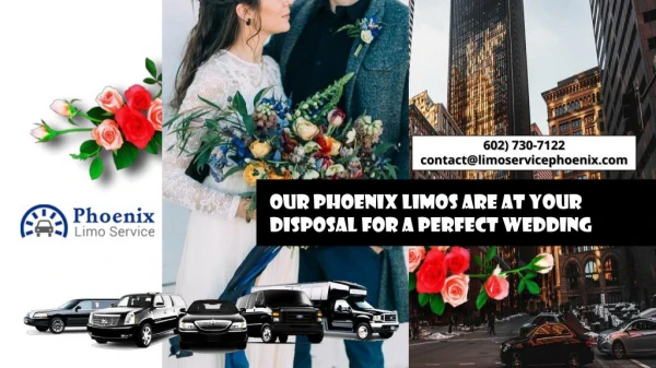 Our Phoenix Limos Are at Your Disposal for a Perfect Wedding
