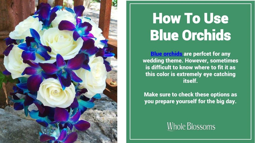 how to use blue orchids
