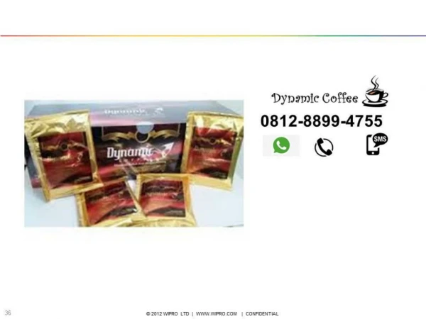 WA 0812-8899-4755 || Kopi Dynamic Kota Bandung Jawa Barat Indonesia