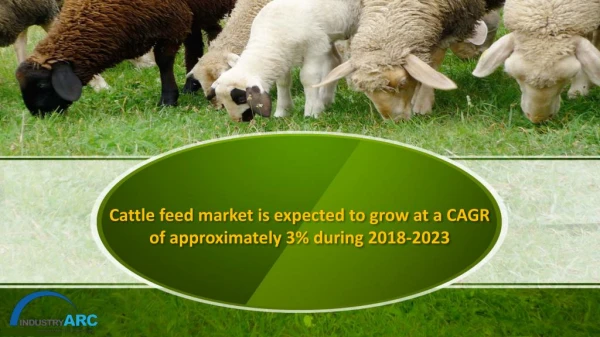 cattle feed market is expected to grow at a CAGR of approximately 3% during 2018-2023