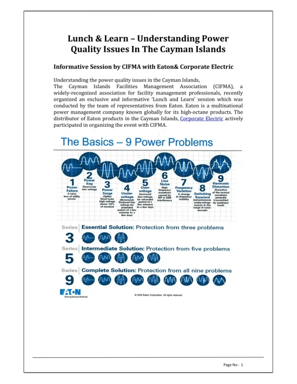 Lunch & Learn - Understanding Power Quality Issues in the Cayman Islands - Corporate Electric