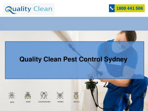 Quality Clean Pest Control Sydney