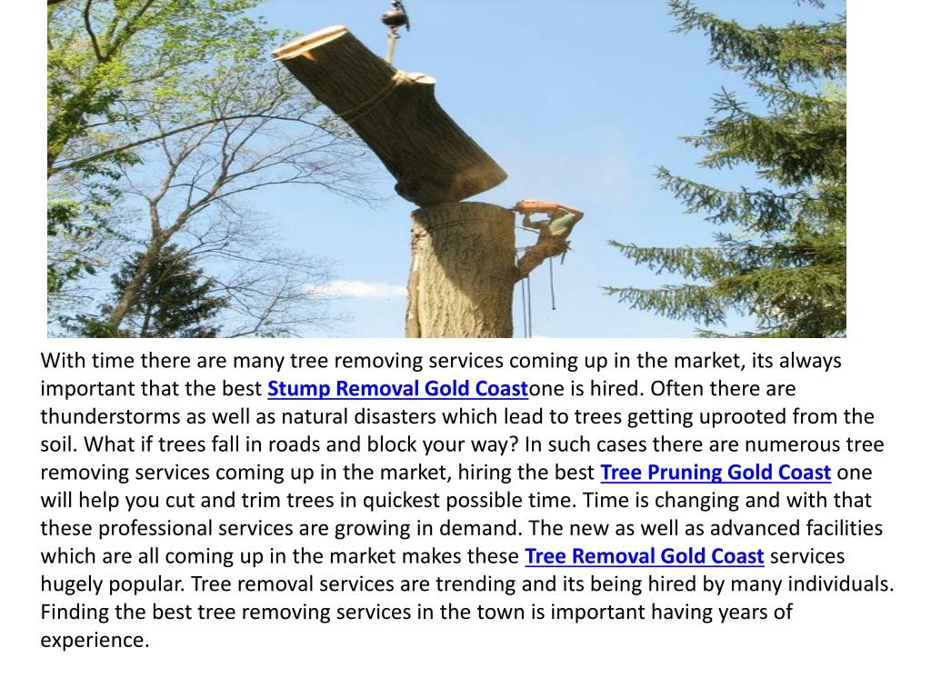 with time there are many tree removing services