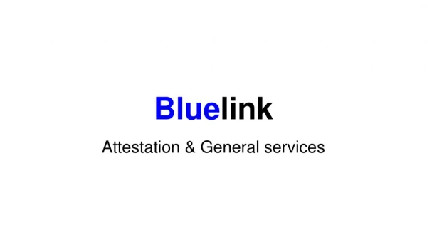 Bluelink Services