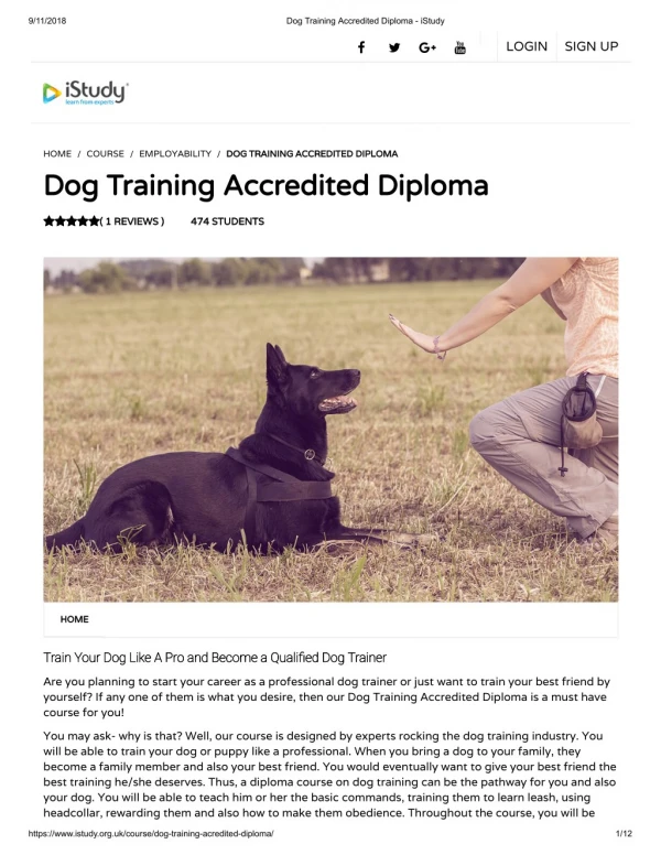 Dog Training Accredited Diploma - istudy