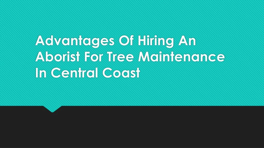 advantages of hiring an aborist for tree maintenance in central coast