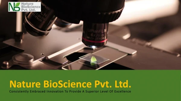 Nature BioScience - Enzyme Manufacturers in India