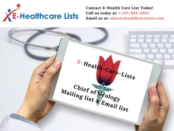 Chief of Urology Mailing List | Urology Email List