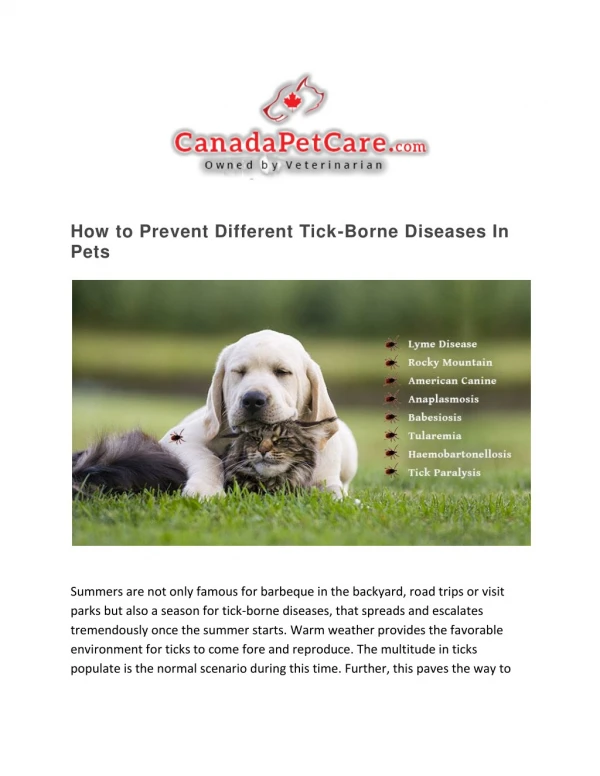 How to Prevent Different Tick-Borne Diseases In Pets