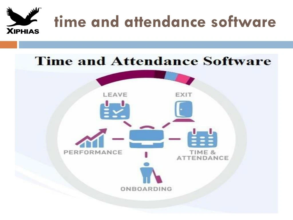 time and attendance software