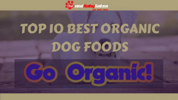 Best Organic Dog Food Reviews - Pet and Baby Gates