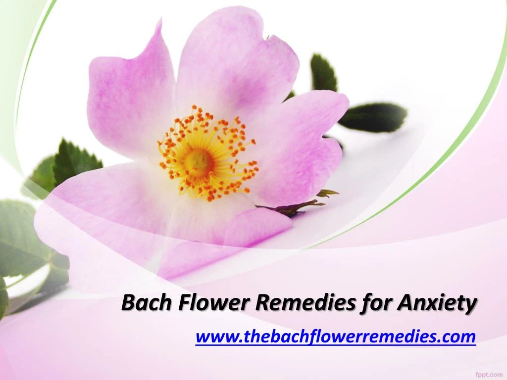 bach flower remedies for anxiety