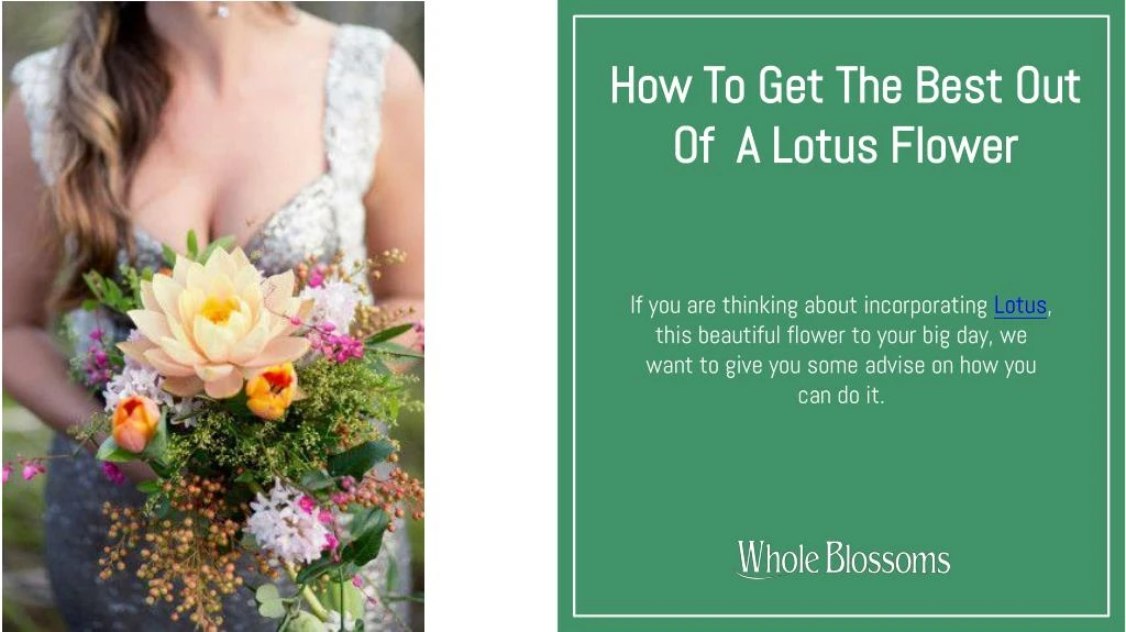 how to get the best out of a lotus flower