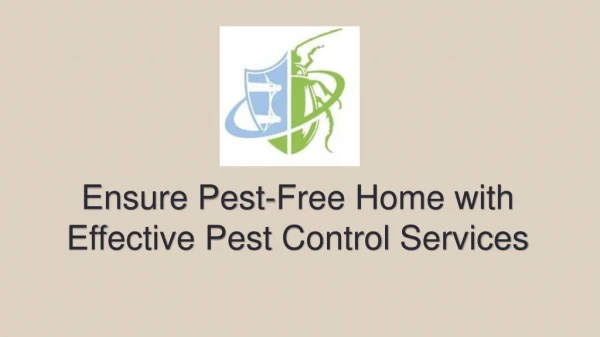 Ensure Pest-Free Home with Effective Pest Control Services
