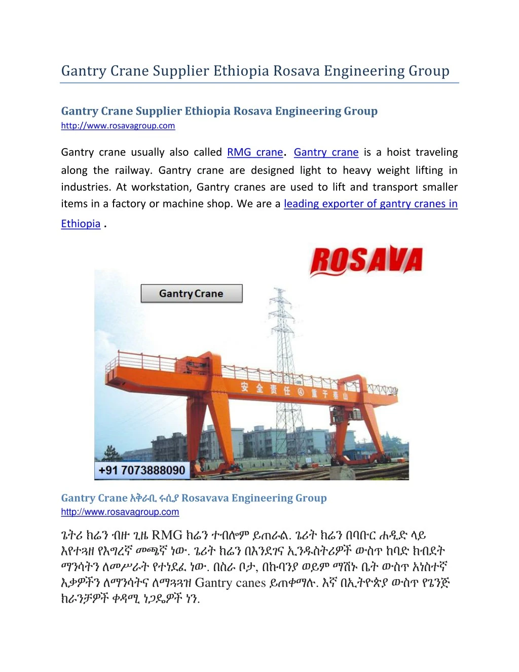 gantry crane supplier ethiopia rosava engineering