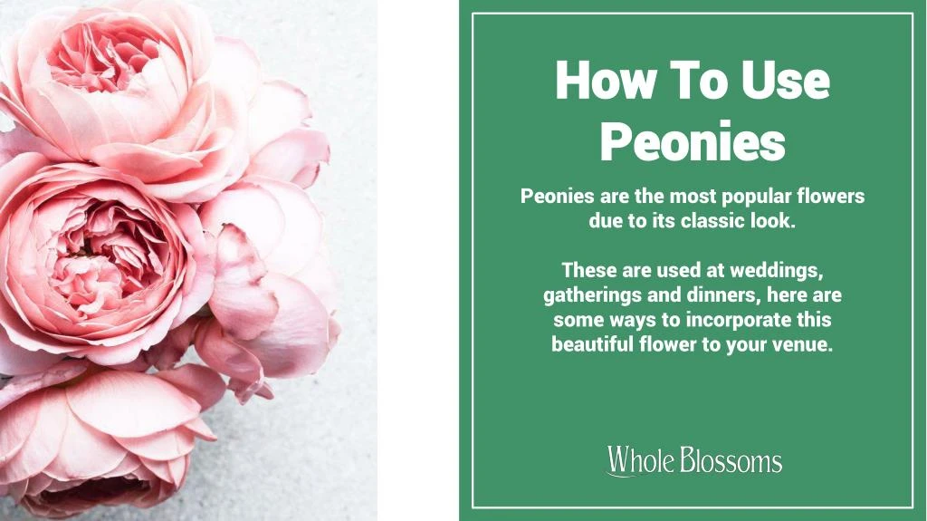 how to use peonies