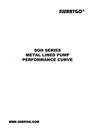 Alternative WARMAN slurry pumps for sale. (SLURRYGO) - slide 1