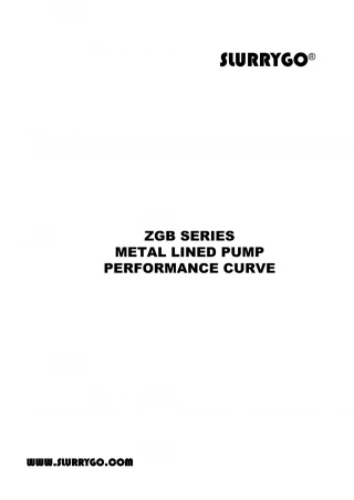 SLURRYGO slurry pumps for sale China. - slide 1