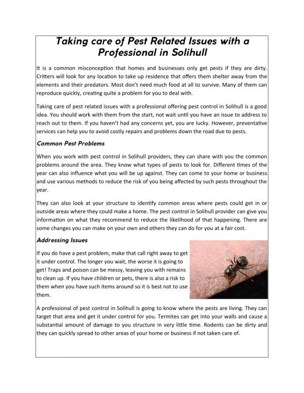 Taking care of Pest Related Issues with a Professional in Solihull