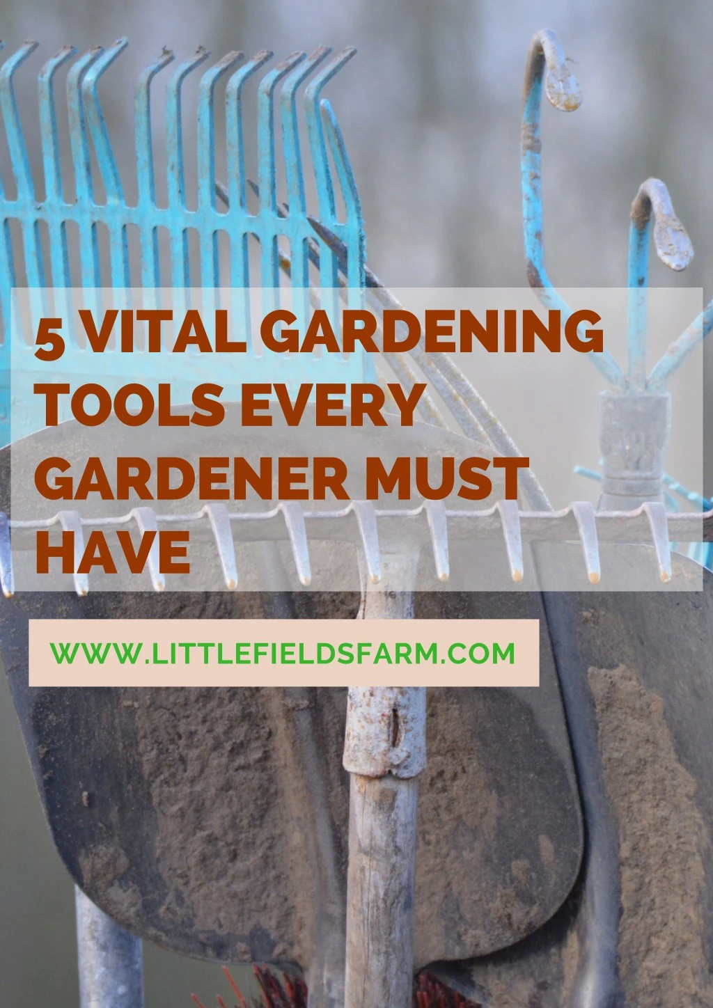 5 vital gardening tools every gardener must have