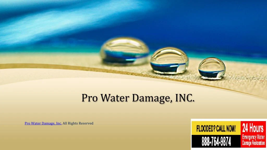 pro water damage inc