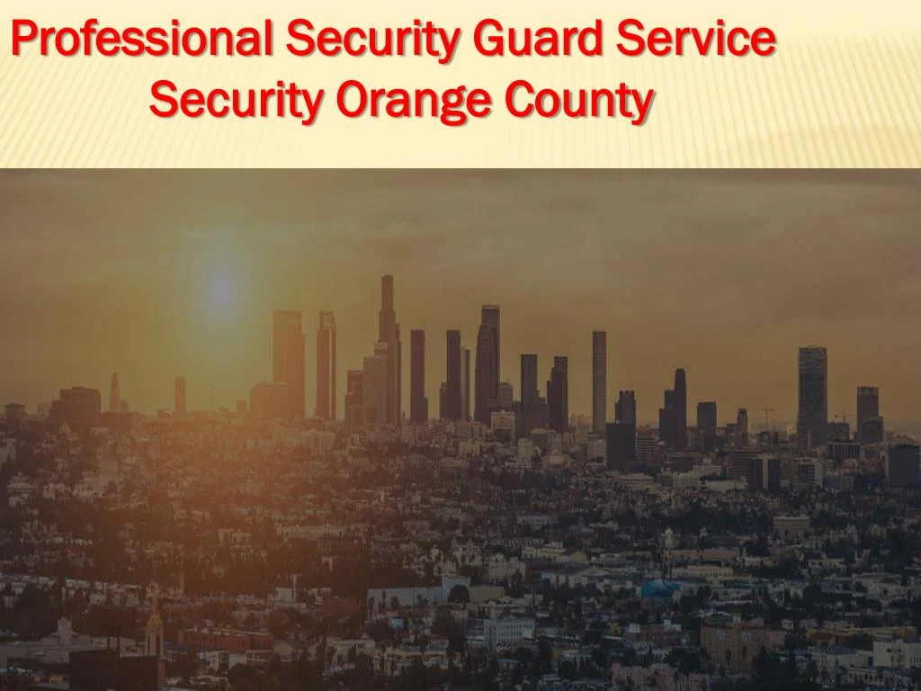 professional security guard service security