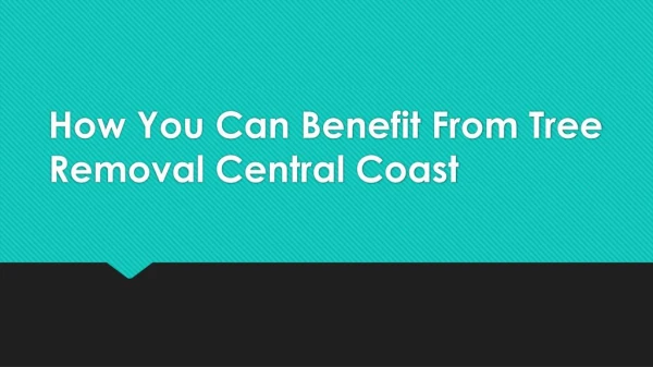 How You Can Benefit From Tree Removal Central Coast