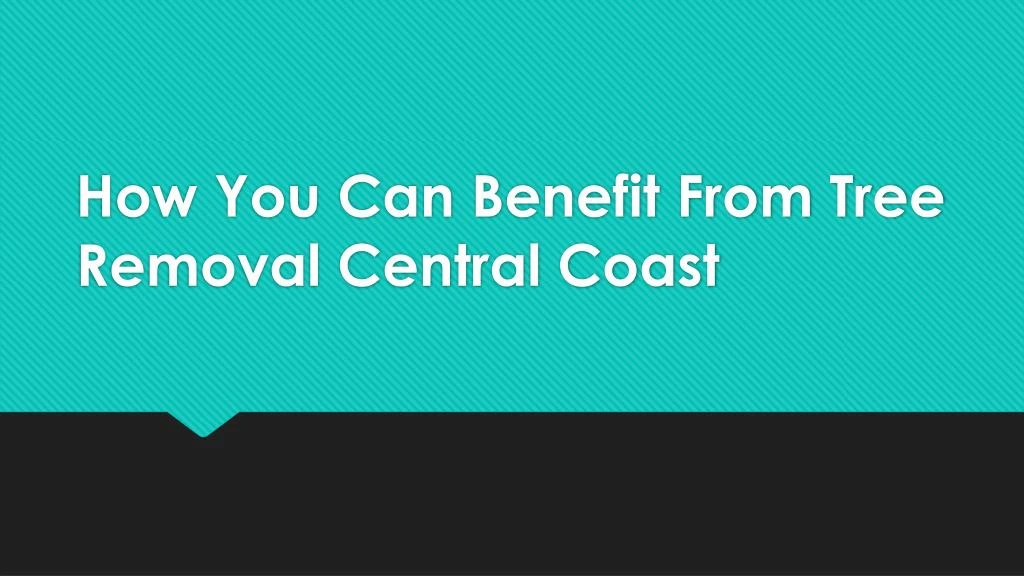 how you can benefit from tree removal central coast